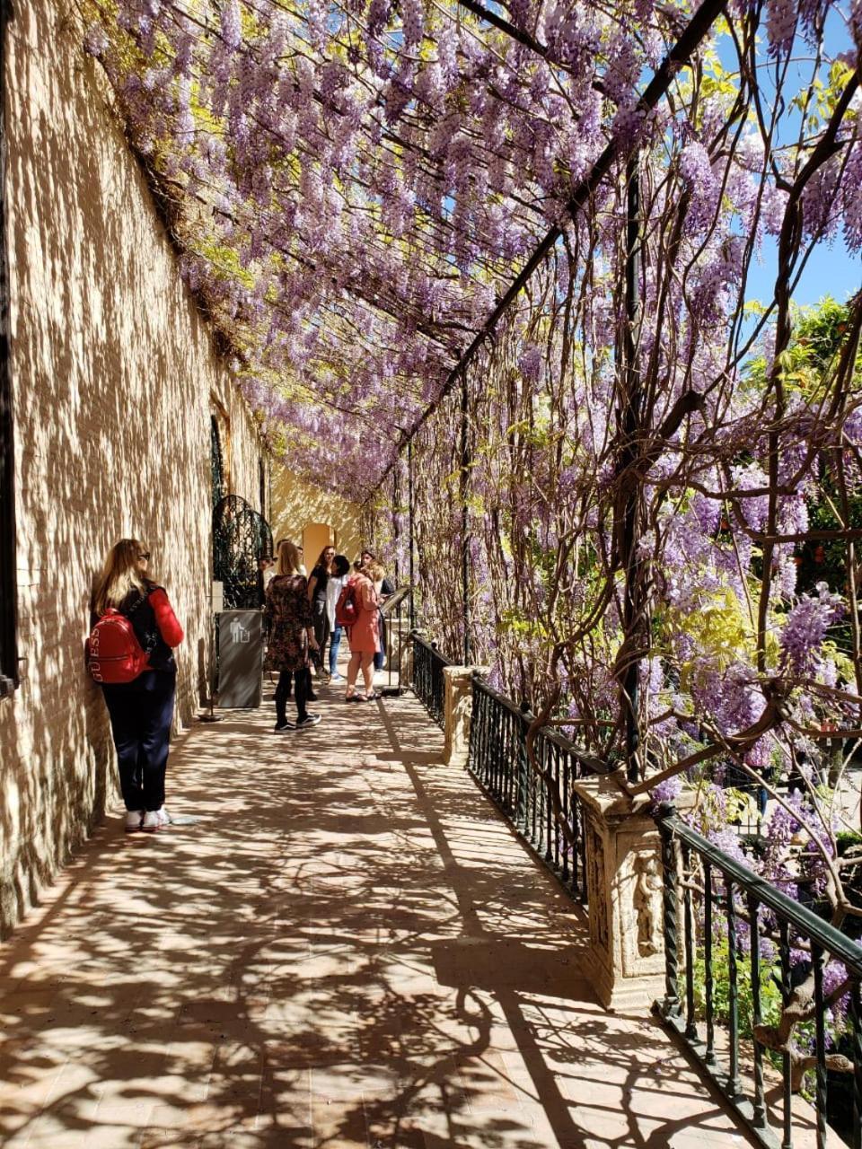 Apartamento Jardin De Santa Paula Siviglia Esterno foto